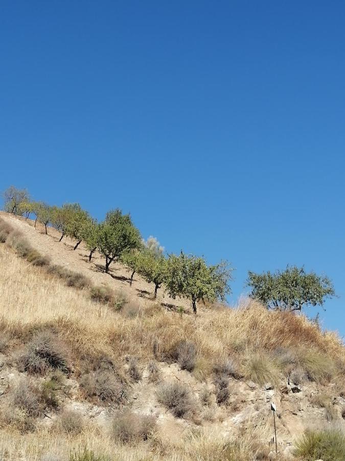 Luby Cortijo Las Eras Lubrín Eksteriør bilde